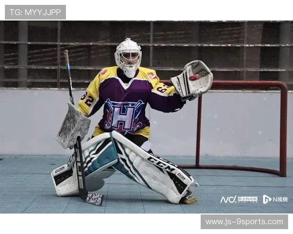 冰球选手飞身撞击护栏，观众尖叫